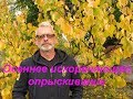 Осеннее искореняющее опрыскивание