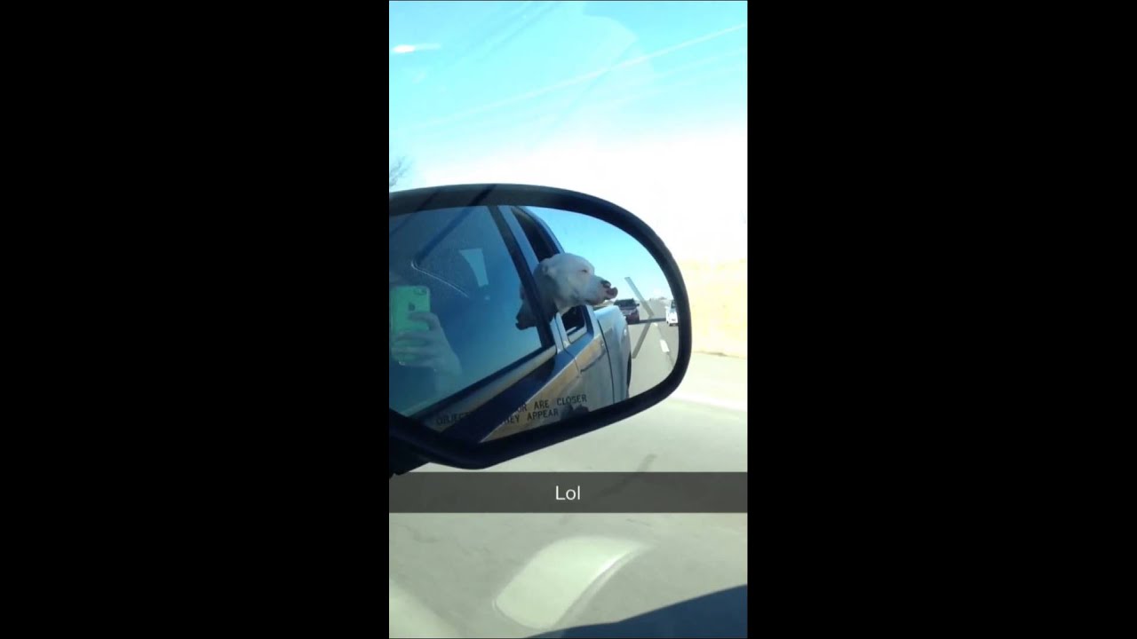 American Bulldogs lip won't stop hitting his eye