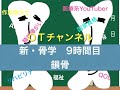 新・骨学（鎖骨）　9時間目「作業療法士（OT）の為の国家試験対策」