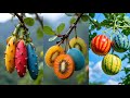Most Satisfying Fruit Cutting Compilation 🍉 | Relaxing Visuals to Calm Your Mind