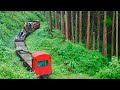 【阿里山森林鐵路】阿里山的工程列車(2018.10)