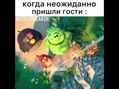 Милашки собачки - YouTube