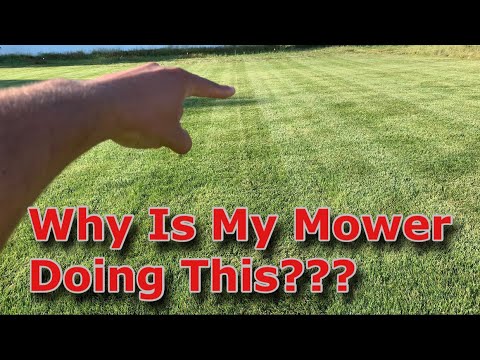 Video: Uncut grass in the garden. What can be done?