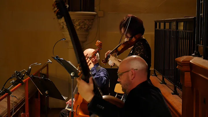 SCHMELTZER: Violin Sonata in A Minor - Julie Andri...