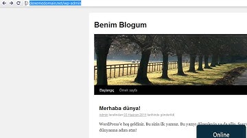 6 - wordpress-admin-paneline-giris