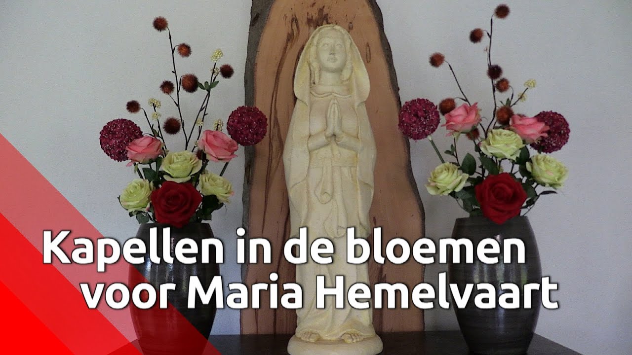 Maria Hemelvaart zet kapelletjes in hele provincie in de bloemen YouTube