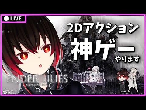 【 ENDER LILIES 】神ゲー ダークファンタジー2DアクションRPG #7【 エンダーリリーズ/vtuber/黒霧にいろ 】【配信#1416】