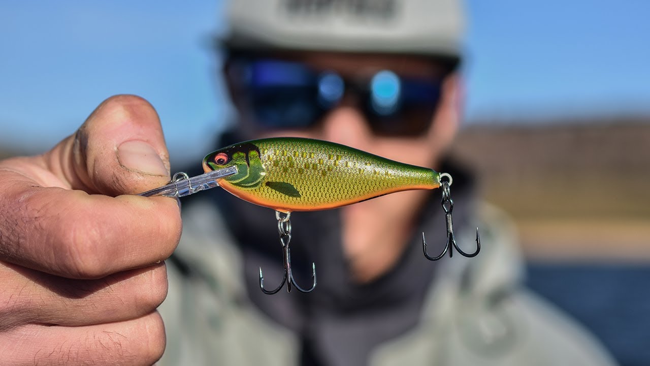 Rapala Shad Rap Elite