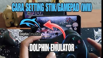 CARA MEMAKAI STIK DI DOLPHIN EMULATOR TERBARU #dolphinemulator