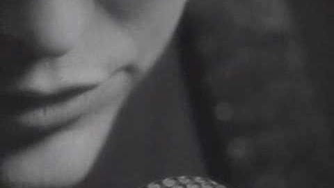 The Mavericks - I Should Have Been True