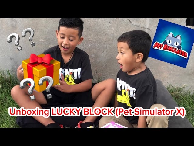 Pet Simulator X Lucky Block Playset : Target