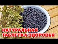 ЯГОДА ДЛЯ ДИАБЕТИКА УЛУЧШАЕТ ЗРЕНИЕ ЧИСТИТ ПЕЧЕНЬ КИШЕЧНИК ВЫВОДИТ КАМНИ@natureMarusya