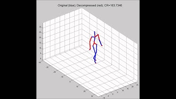 Motion capture data compression