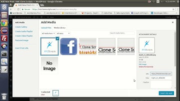 Sample screencast of facebook app review process - Facebook Auto Publish