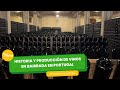 Historia y producción de vinos en Bairrada - Portugal - TvAgro por Juan Gonzalo Angel Restrepo