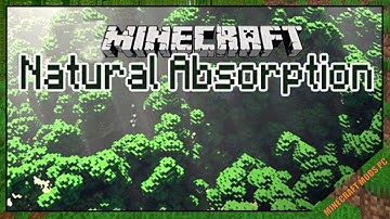 Natural Absorption Mod 1.12.2/1.10.2/1.7.10 & How To Download and Install for Minecraft