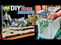 Transform A Broken Aquarium Into A Beautiful Turtle Aquarium Ecosystem