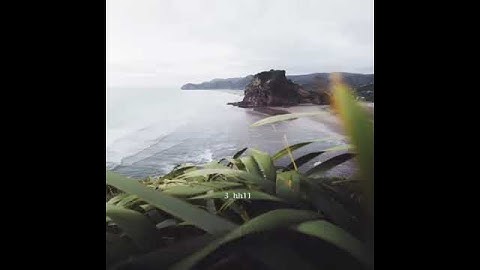 أرح سمعك تلاوة للقارئ فارس عباد