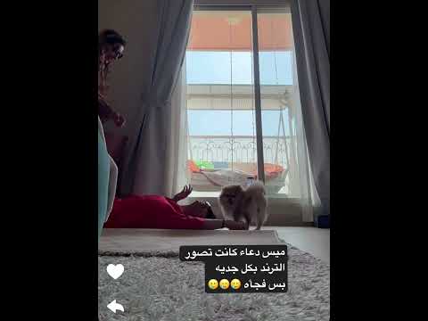 لماقررت تركز على التمثيل جسمها قرر يسرق الأضواء لا تفوتوا اللقطة التاريخيه ضرطة الترند ميس دعاء