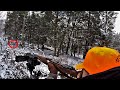 DEER HUNTING with a KARABINER 98 KURZ 8MM MAUSER! ( Kar98K ) 2020 Whitetail Spot & Stalk! Heart Shot