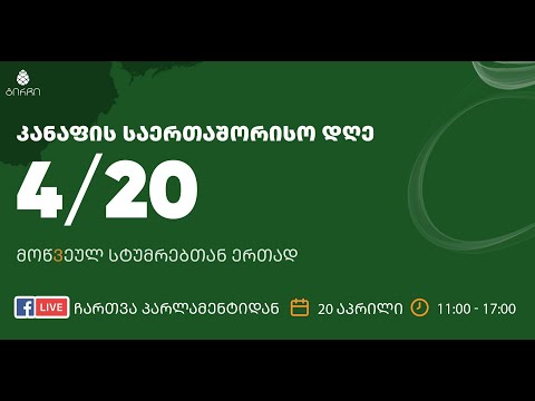 გირჩი პარლამენტში - ვახო მეგრელიშვილი, იაგო ხვიჩია (20.04.2022)