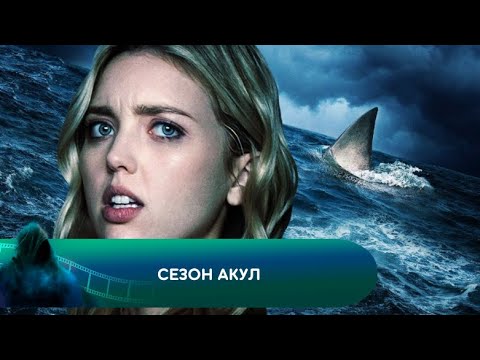 ТРИ МИЛИ ОТ БЕРЕГА И...! Сезон акул. Лучшие фильмы
