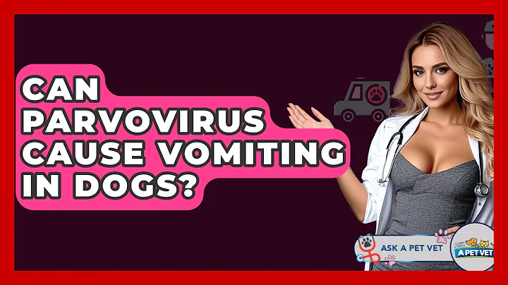 Can Parvovirus Cause Vomiting In Dogs? - Ask A Pet Vet