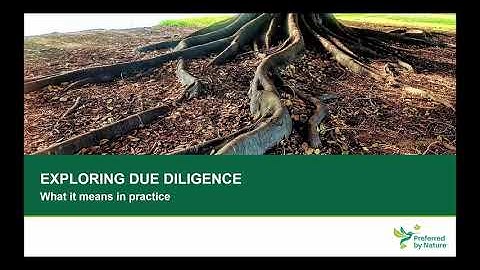PART 1 Exploring due diligence: what does it mean in practice
