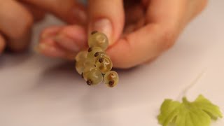 Белая смородина из моей прозрачной полимерной глины МК. A sprig of white currant made of transparent