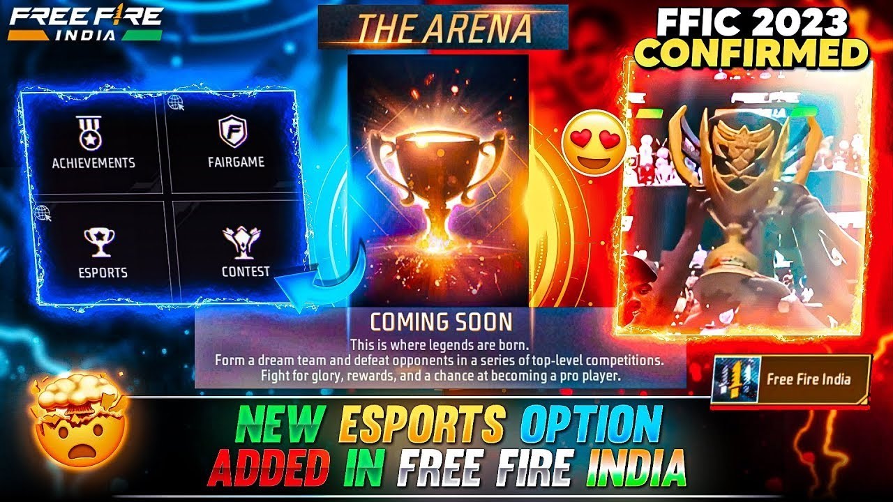 Free Fire Arena