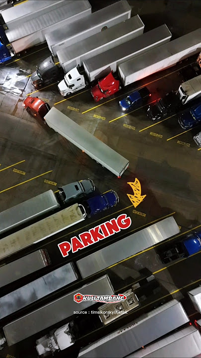 PROFESSIONAL TRUCK DRIVER PARKING SKILLS WILL AMAZE YOU?