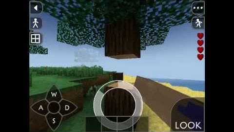 Survivalcraft IOS Let