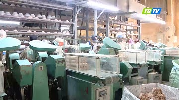 Tiền Hải điểm đến nhà đầu tư