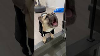 Jip Jip Security Services At Your Service