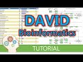 How to use DAVID for functional annotation of genes