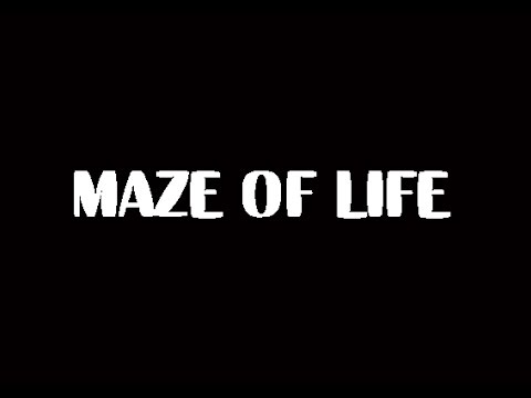 "MAZE OF LIFE". Звітний концерт НХМ МАЛЬВА 29.04.17р.