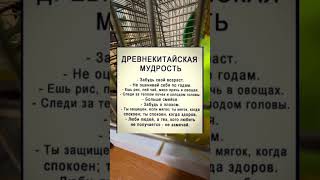 Китайская мудрость #мудрость #жизнь #любовь #осознанность #психология #философия #саморазвитие