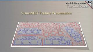 VisualNEST Feature Presentation