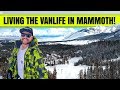 LIVING THE VAN LIFE IN MAMMOTH (NATURAL HOT SPRINGS!)