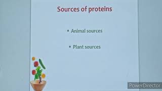 Protein (III)