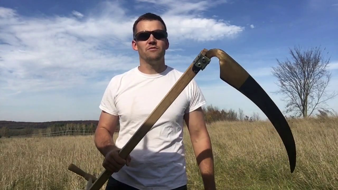 Weed control: what tools are the most efficient to cut them down? - YouTube