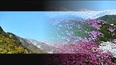 青い山脈 藤山一郎 ギターコード 歌詞あり 弾き語り カラオケ 伴奏 Youtube