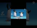 Baile del pingüino de navidad.