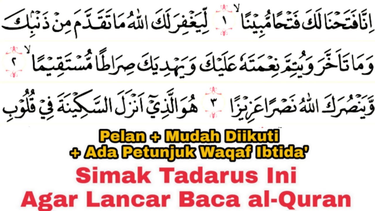 Tadarus Surat al-Fath Ayat 1-29 (Full) Ada Warna Panjang & Dengung Agar Lancar Baca al-Quran