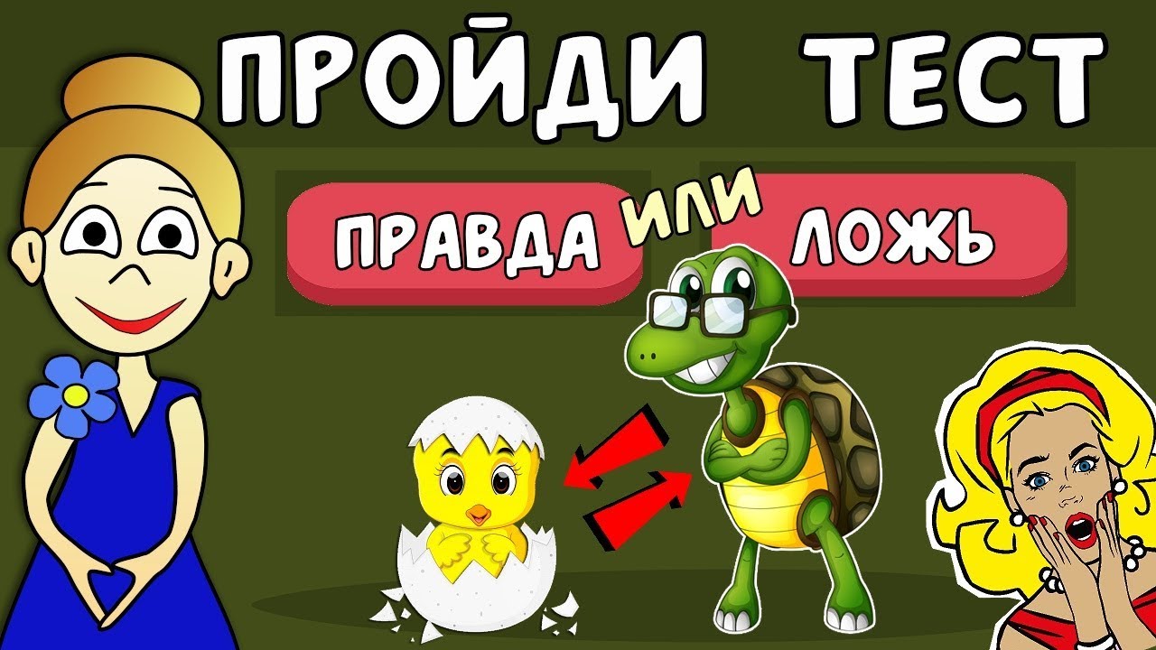 Угадай номер 3. Бабушка Шошо тесты. Загадки бабушки Шошо. Правда или ложь Шошо. Тест правда или ложь.