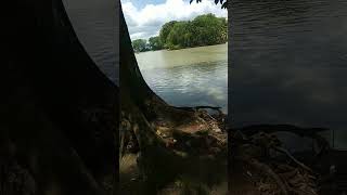 Download Lagu situs tasikardi MP3