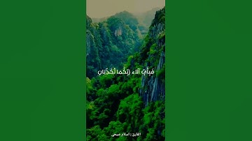 || كل من عليها فان || القارئ : اسلام صبحي ||
