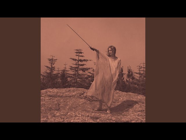 Unknown Mortal Orchestra - Monki