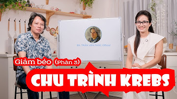 Giảm béo Phần 3: Bác sĩ Phúc "giải mã" Chu trình Krebs - Dễ hiểu nhất