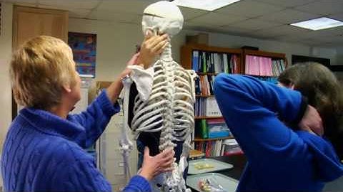 Accessible Science: Life Science - Chapter 1 of 8